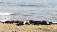 Determinan que muerte de waraos en Bakamuju se debió a un naufragio