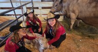 What’s happening at the Clark County Fair on Saturday, Aug. 9