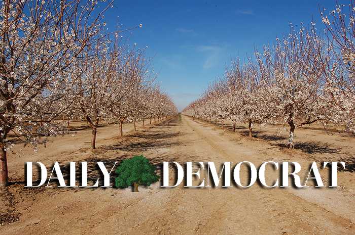 Column: Facebook comments make the blood boil