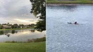 Florida Man Hears Splash In Alligator Waters And Can’t Believe What He Spots Next
