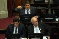 En vivo: el Senado debate los decretos de Javier Milei sobre Vialidad, el INV y el INTA
