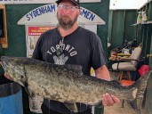 Salmon caught off the wall narrowly misses the big prize