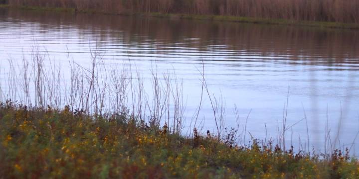 Iowa groups tell congressional delegation bill would ‘gut’ Clean Water Act
