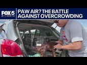 Relief for overcrowded animal shelters in Georgia