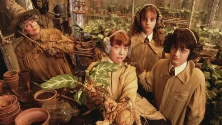 Actriz de “Harry Potter” confiesa que podría optar por el suicidio asistido