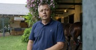 Moquett using platforms to 'celebrate the horse'