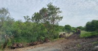 New Ayrshire cycle path threatens to wreck 'natural habitat', campaigners warn