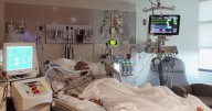 Advierten en EEUU sobre aumento de infecciones por bacteria carnívora en aguas costeras