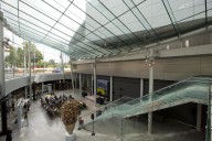 Director warns that the Van Gogh Museum may close if the Dutch government doesn’t help fund repairs