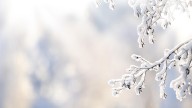 Old Farmer’s Almanac releases 2025–26 U.S. winter outlook