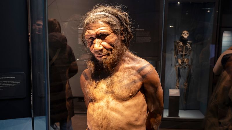 Humans may have had a competitive edge over our ancient relatives, study suggests
