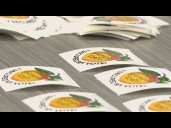 Georgia Senate to remove inactive voters