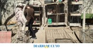 Nuevo golpe al tráfico ilegal de fauna silvestre: 137 aves, 10 gallos y hasta marihuana