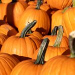 Desert Fall Festival coming to Surprise next month, will last through November
