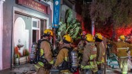 Museum of Jurassic Technology reopens after escaping destruction in fire