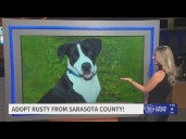 Give Rusty from Sarasota County a fur