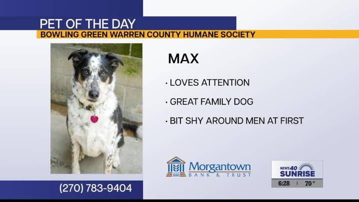 Pet of the Day: Max