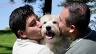 Perrita Stormy es adoptada tras vivir en refugios – Telemundo Washington DC (44)
