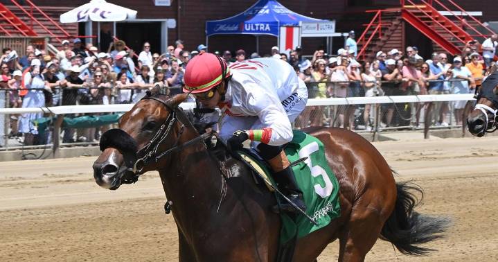 New York-breds on display in stakes throughout Travers week