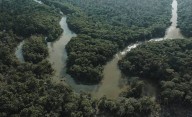 Todo sobre la selva del Amazonas: dónde se encuentra, su diversidad y por qué está en peli