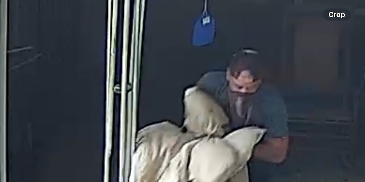 Out-of-town homeowner catches suspected burglar on security camera, sheriff says