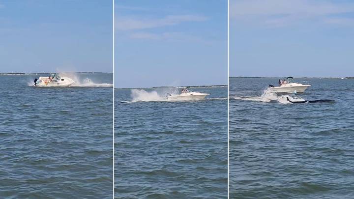Necropsy planned for whale struck by boat in New Jersey