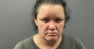 MAGNET arrests 7 people arrested on narcotics charges after search warrant executed on Palma Plaza in Bullhead City
