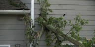 Strong storms cause flooded roads, fallen trees in metro Atlanta