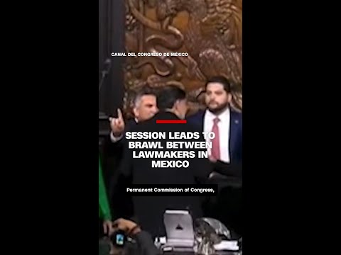 Session leads to brawl between lawmakers in Mexico