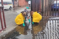 Responde ayuntamiento ante caída de árbol y afectaciones por fuerte lluvia en la capital