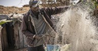 Takeaways: Gambia's fishermen are caught in a 'sea war' with foreign vessels