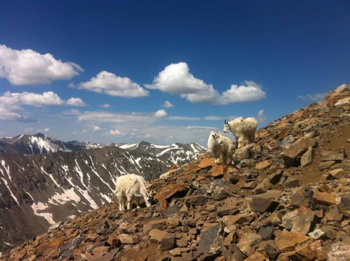 USFS planning improvements at busiest hiking areas in Summit County