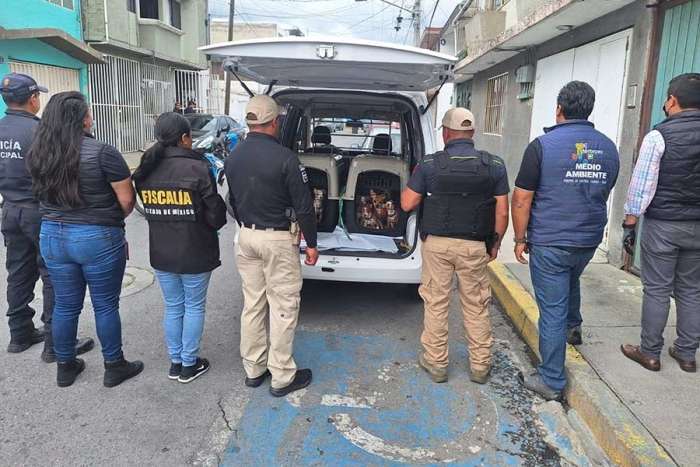 Operativo en Metepec salva a decenas de perros maltratados