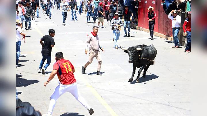 Los 18 toros de la “Huamantlada” serán sacrificados al finalizar el evento