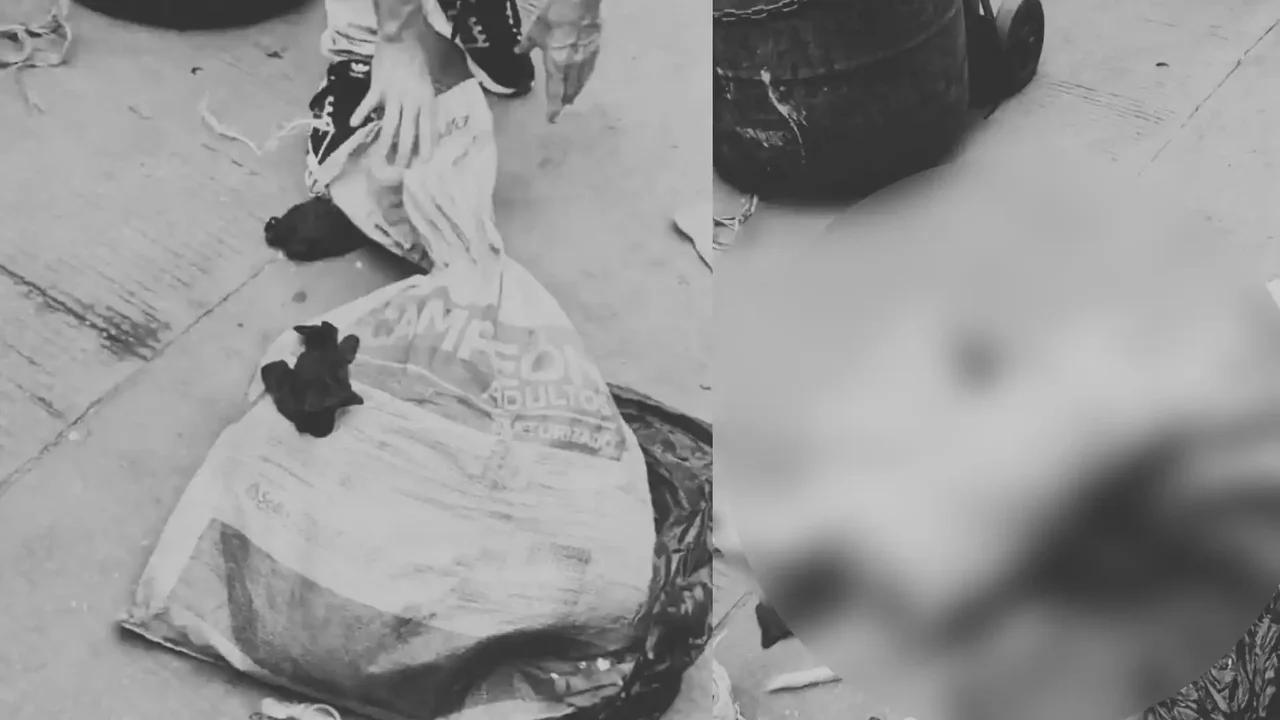 Perrita es encontrada muerta en un costal con sus crías: habría sido abusada sexualmente