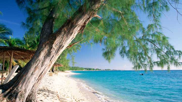 Culinary Capital of the Caribbean' gets new non-stop flights from the US for just $65