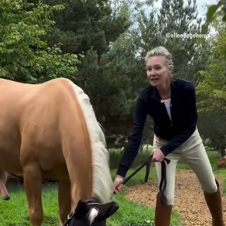 Ellen DeGeneres's Rare Glimpse Into Her & Wife Portia's U.K. Countryside Life