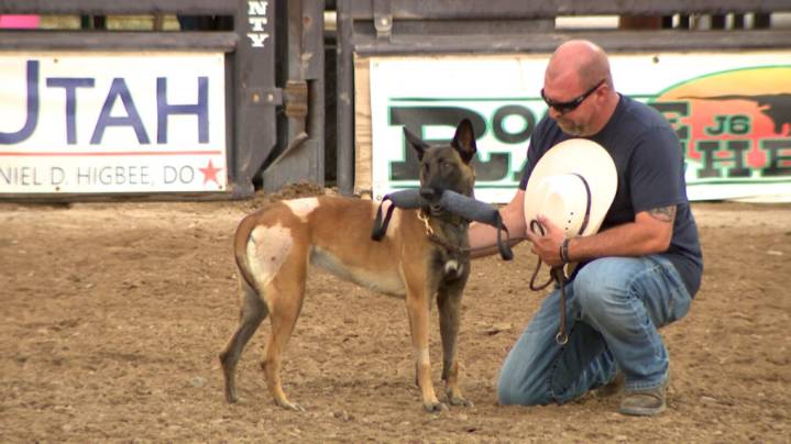 Fallen officers honored at Box Elder County rodeo