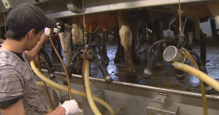 What is H2S? Dairy expert explains toxic gas that likely killed six Northern Colorado farm workers