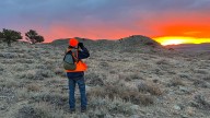 Ending Roadless Rule Threatens Wyoming’s Hunting and Fishing, Outdoors Groups Say
