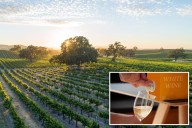 Boxed wine can be better — and cheaper — than some bottled blends, experts say