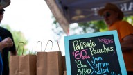 Fort Collins Peach Festival brings peaches, music to Old Town