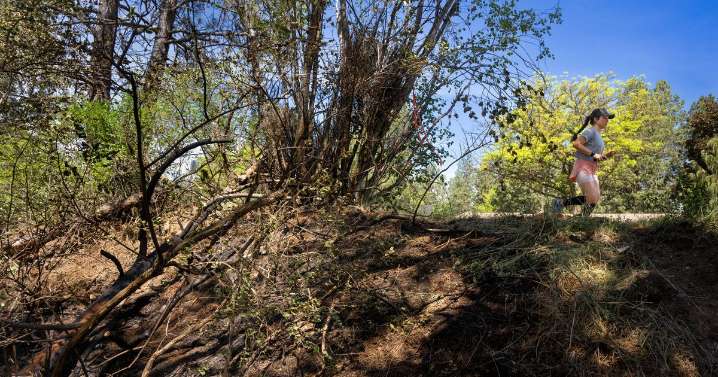 Arsons and suspicious fires fueled Spokane’s summer as another arrest is made