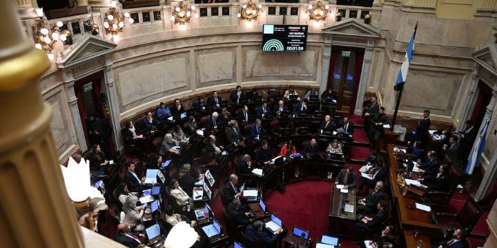 El Senado sancionará mañana la emergencia pediátrica y el refuerzo de los presupuestos universitarios