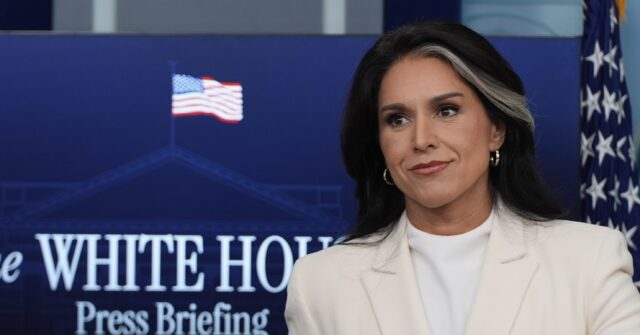 Tulsi Gabbard Slashes ODNI by Nearly 50% to 'Restore Trust'