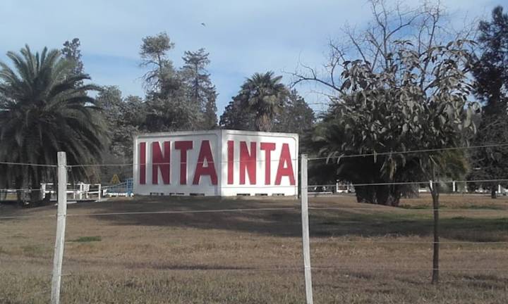 El Gobierno eliminó la Dirección Nacional del INTA y Nicolás Bronzovich concentra más poder