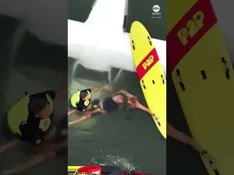 Pilot rescued in less than 30 seconds after plane ditches in ocean