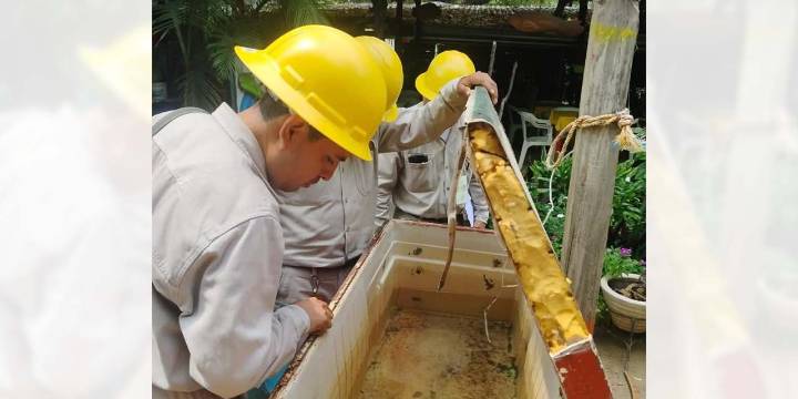 Exhortan a eliminar criaderos del mosco portador del dengue
