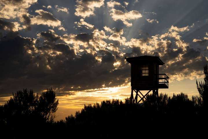 ‘Strange bedfellows’: Minidoka survivors react to Trump cancellation of disputed wind farm