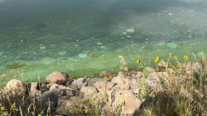 Alerta sanitaria emitida para dos lagos del sureste de Nebraska